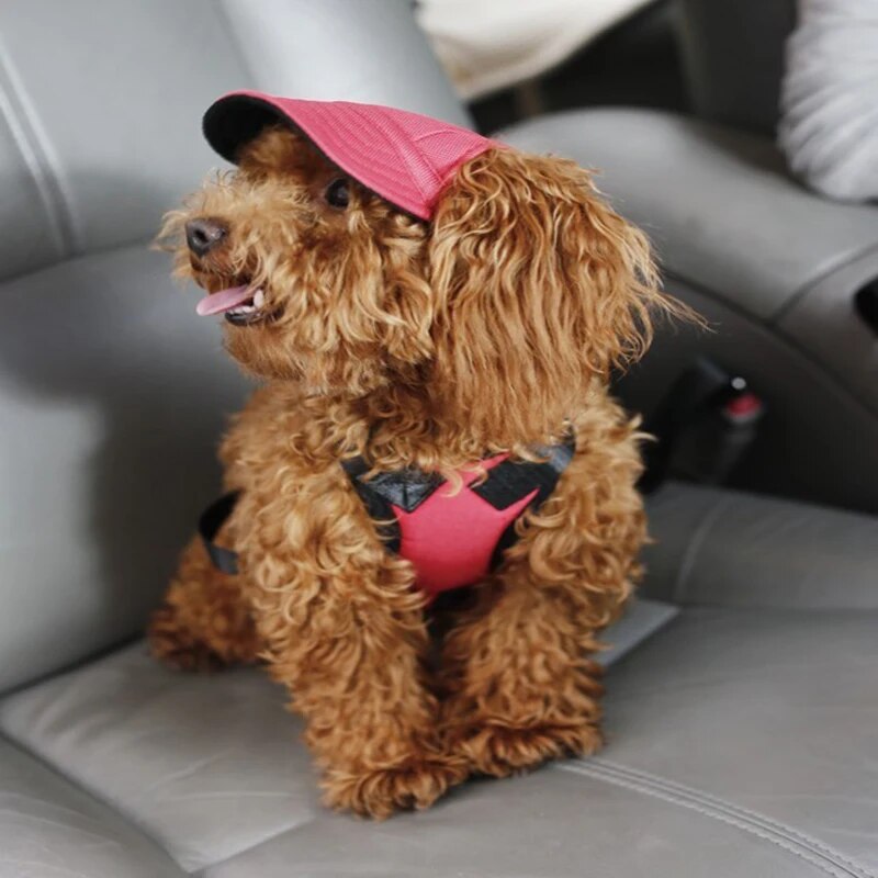 Outdoor Pet Dog Sun Hat Travel Pet Baseball Cap