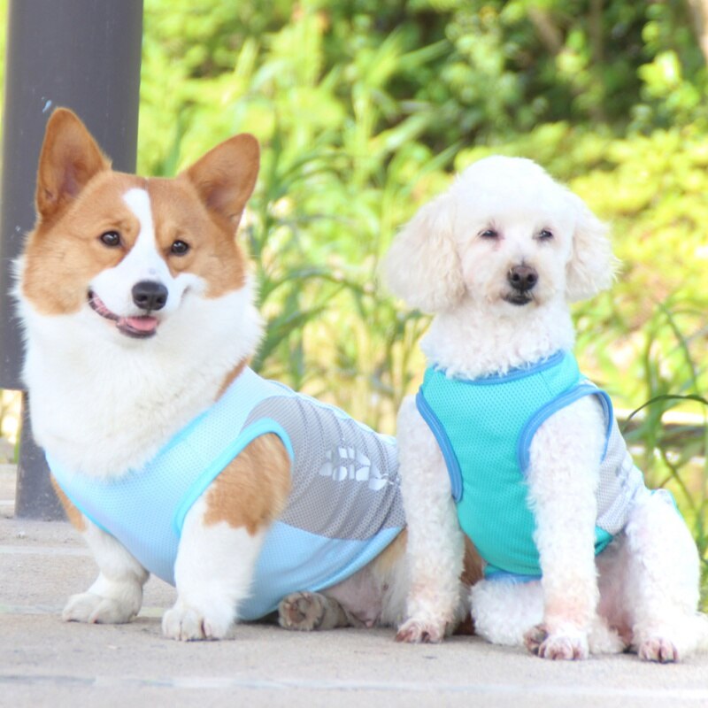 Summer Pet Dog Cooling Vest Reflective Quick-Cooling Dog Jacket
