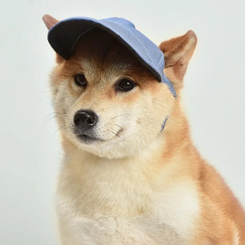 Pet Dog Sunshade Cap Dog Hat Outdoor Baseball Cap Canvas Small Dog Sunscreen