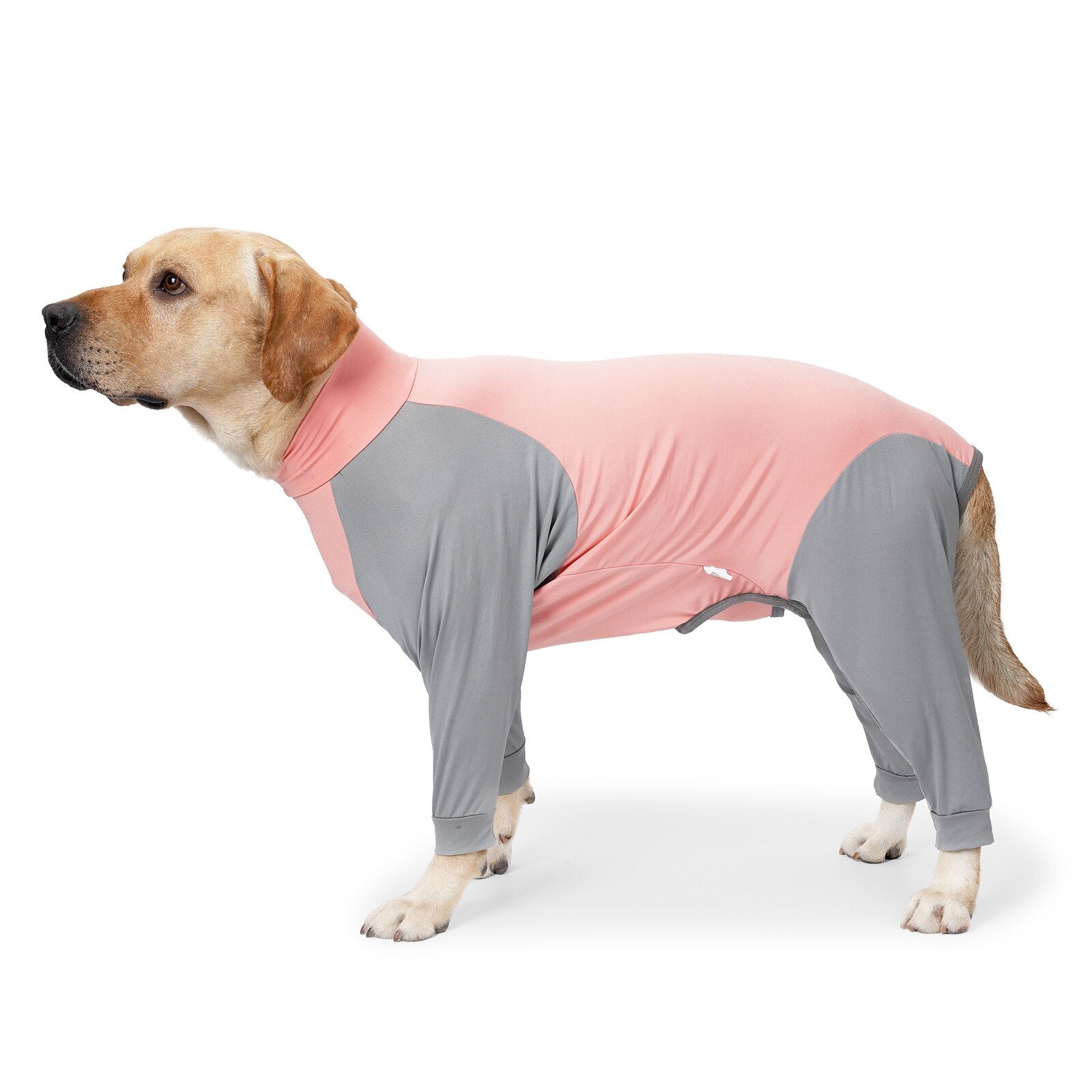 Pet Dog Four-legged Clothes Anti-hair Loss High Elasticity Home Clothes Crew Neck Sleepwear Pajamas