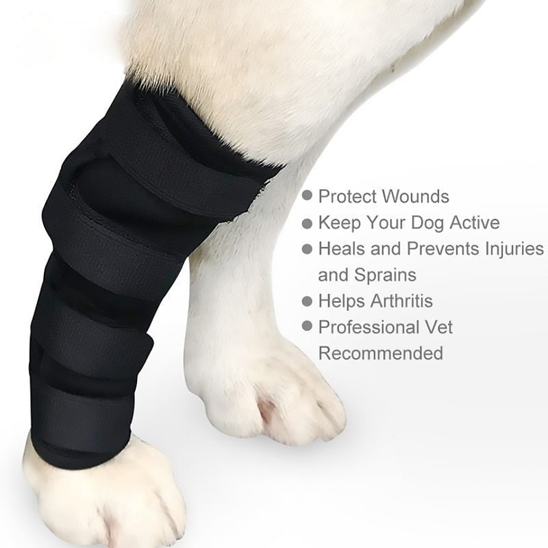 Pet Dog Knee Pads Dog Support Brace For Leg Injury