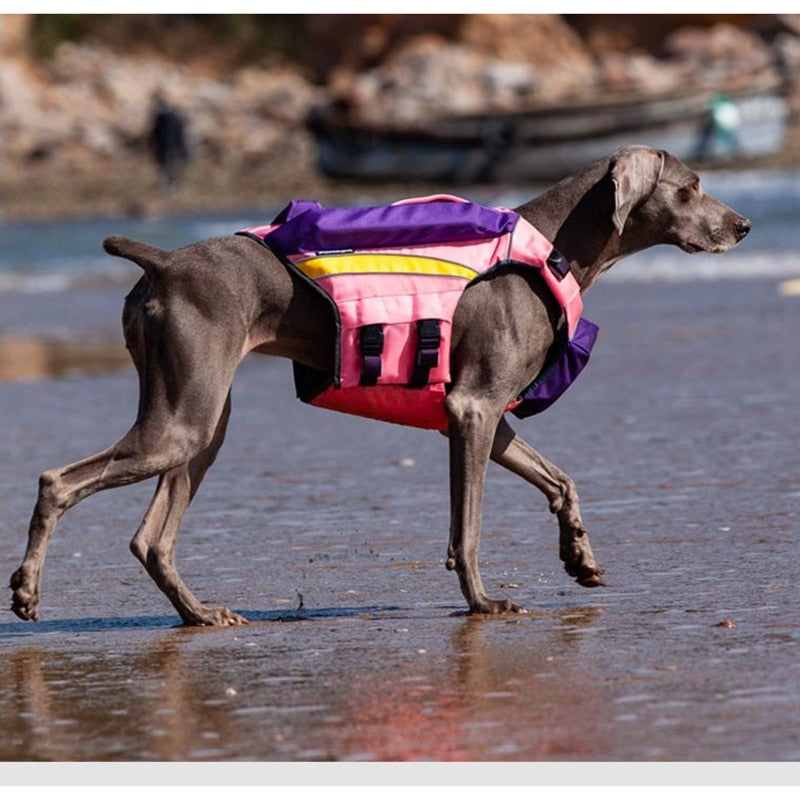 Reflective Breathable Pet Dog Life Jacket With Rear Handle