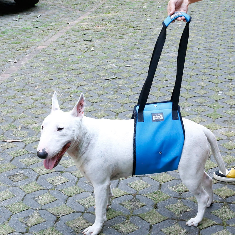Pet Dog Lift Support Harness With Handle