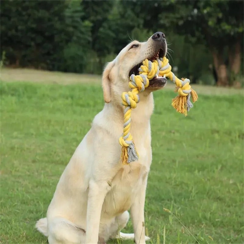 Pet Dog Toy Dog Bite Rope Training Toys