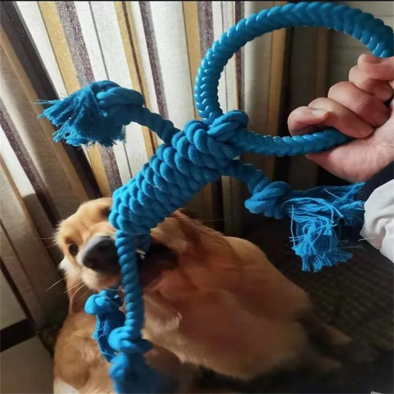 Pet Dog Toy Dog Bite Rope Training Toys
