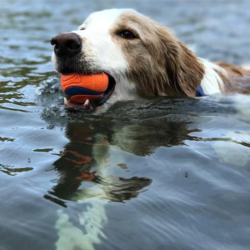 Pet Dog Toy Game Ball Ultra Rubber Ball Dogs Resistance Bite