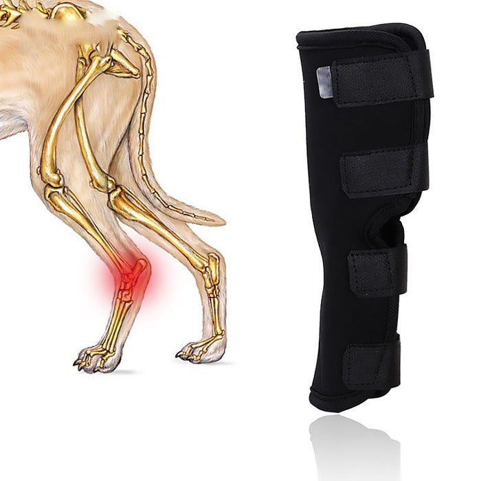 Pet Dog Knee Pads Dog Support Brace For Leg Injury