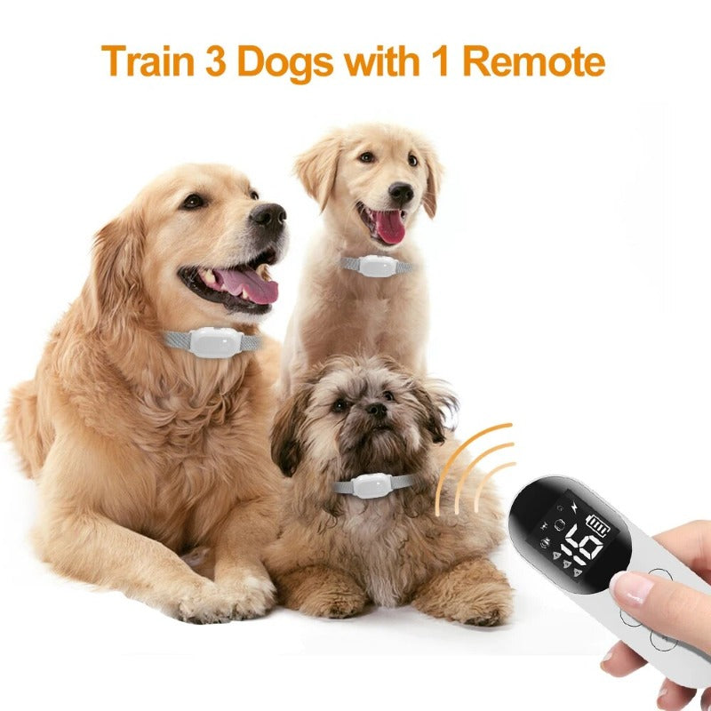 Professional Dog Training Collar Waterproof Rechargeable Dog Shock Collar with Remote and Auto Modes Collar