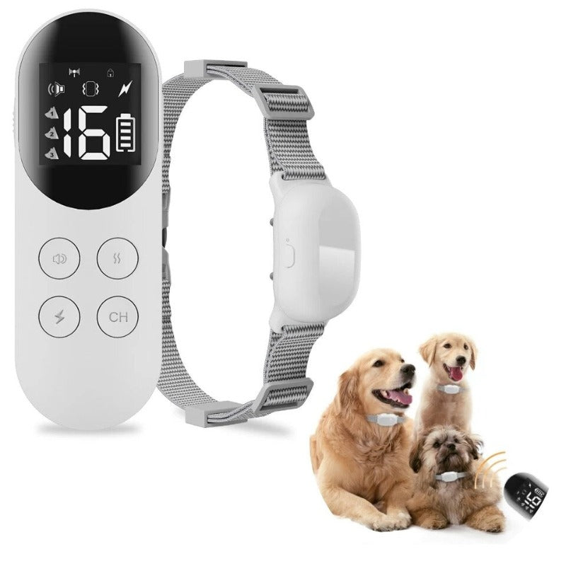 Professional Dog Training Collar Waterproof Rechargeable Dog Shock Collar with Remote and Auto Modes Collar