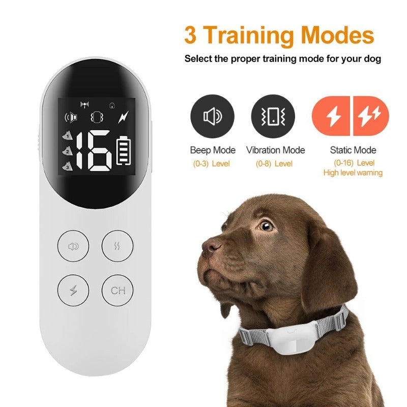 Professional Dog Training Collar Waterproof Rechargeable Dog Shock Collar with Remote and Auto Modes Collar