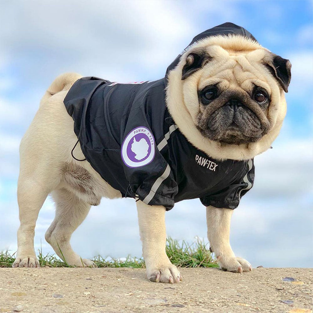 Pet Clothes Fashion Reflective Dog Raincoat Windproof Waterproof Dog Jacket Windbreaker