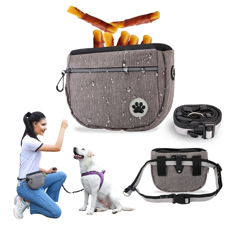 Outdoor Dog Treat Bag Pet Dog Training Large Capacity Detachable Hands-Free Waist Bag