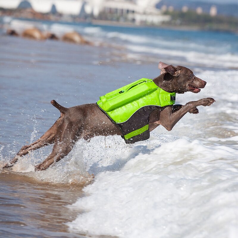 Pet Dog Life Jacket With Rescue Handle S~XL