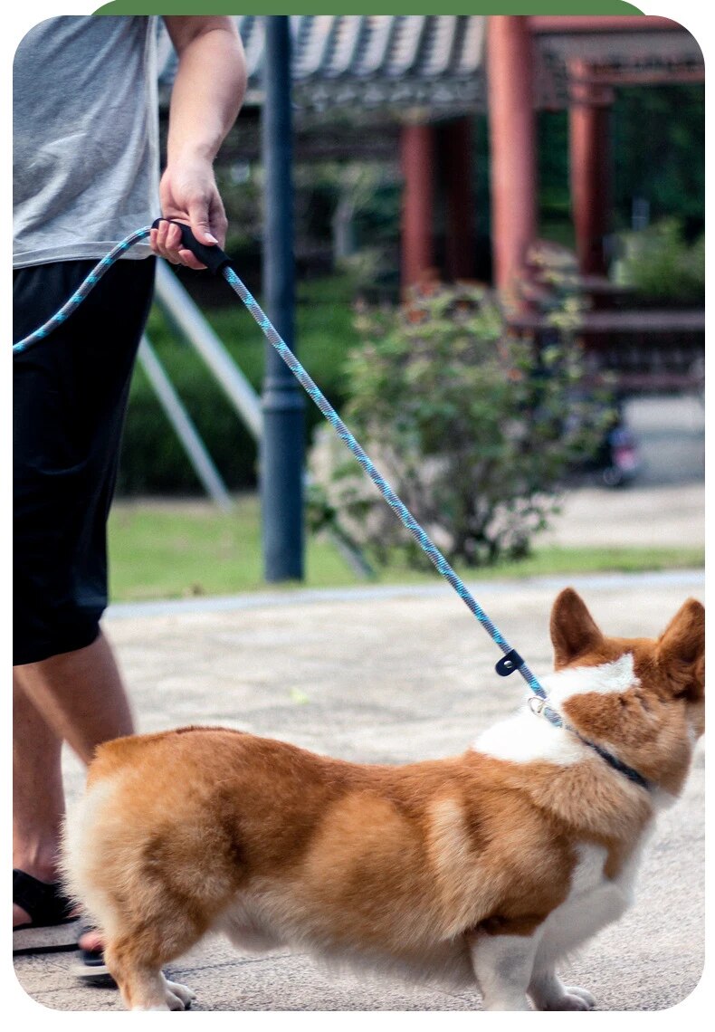 Reflective Dog Lead Leashes No Pull Dog Training Leash