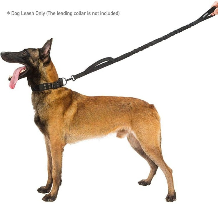 Dog Harness Leash Set Tactical Chest Vest Adjustable
