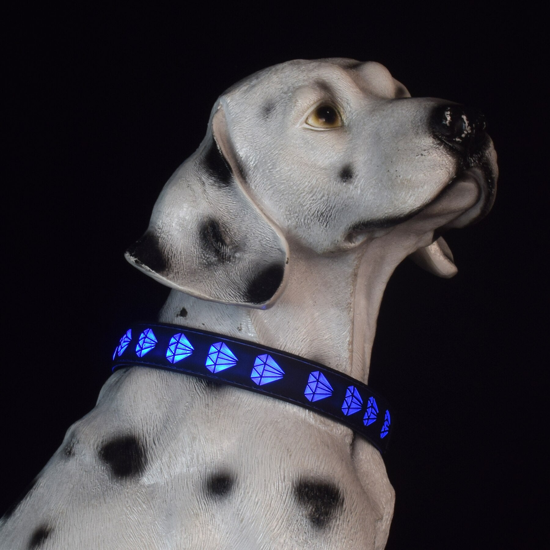 Usb Rechargeable Pet Dog Collars Eco friendly Nylon Adjustable