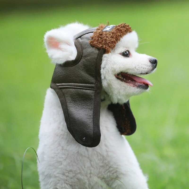 Warm Dog Pilot Hat Leather Pet Dog Cap