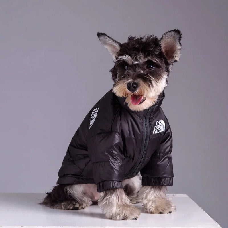 Winter Pet Dog Down Jacket The Dog Face Pet Warm and Cold-proof Puppy Coat