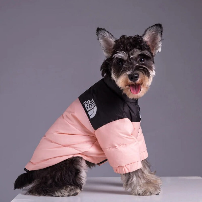 Winter Pet Dog Down Jacket The Dog Face Pet Warm and Cold-proof Puppy Coat