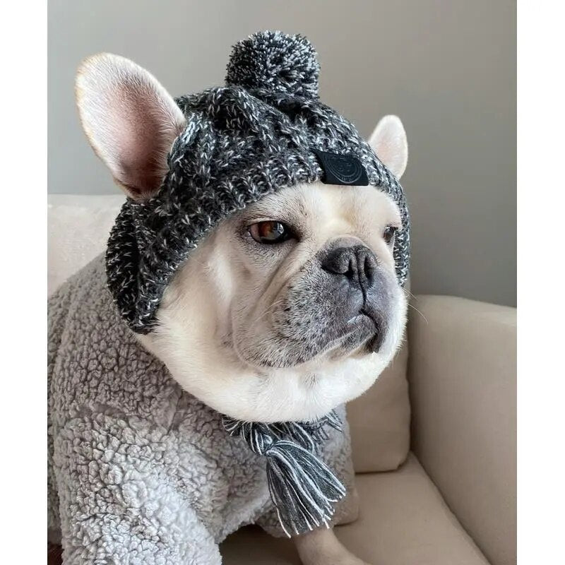 Winter Warm Windproof Dog Cap Pet Dogs Hats