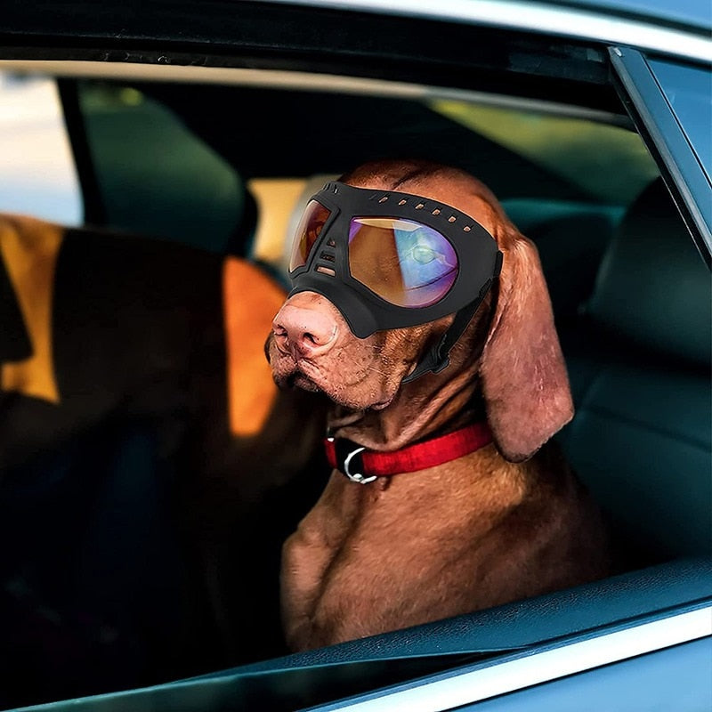 Pet Dog Goggles Sunglasses UV Protection Windproof