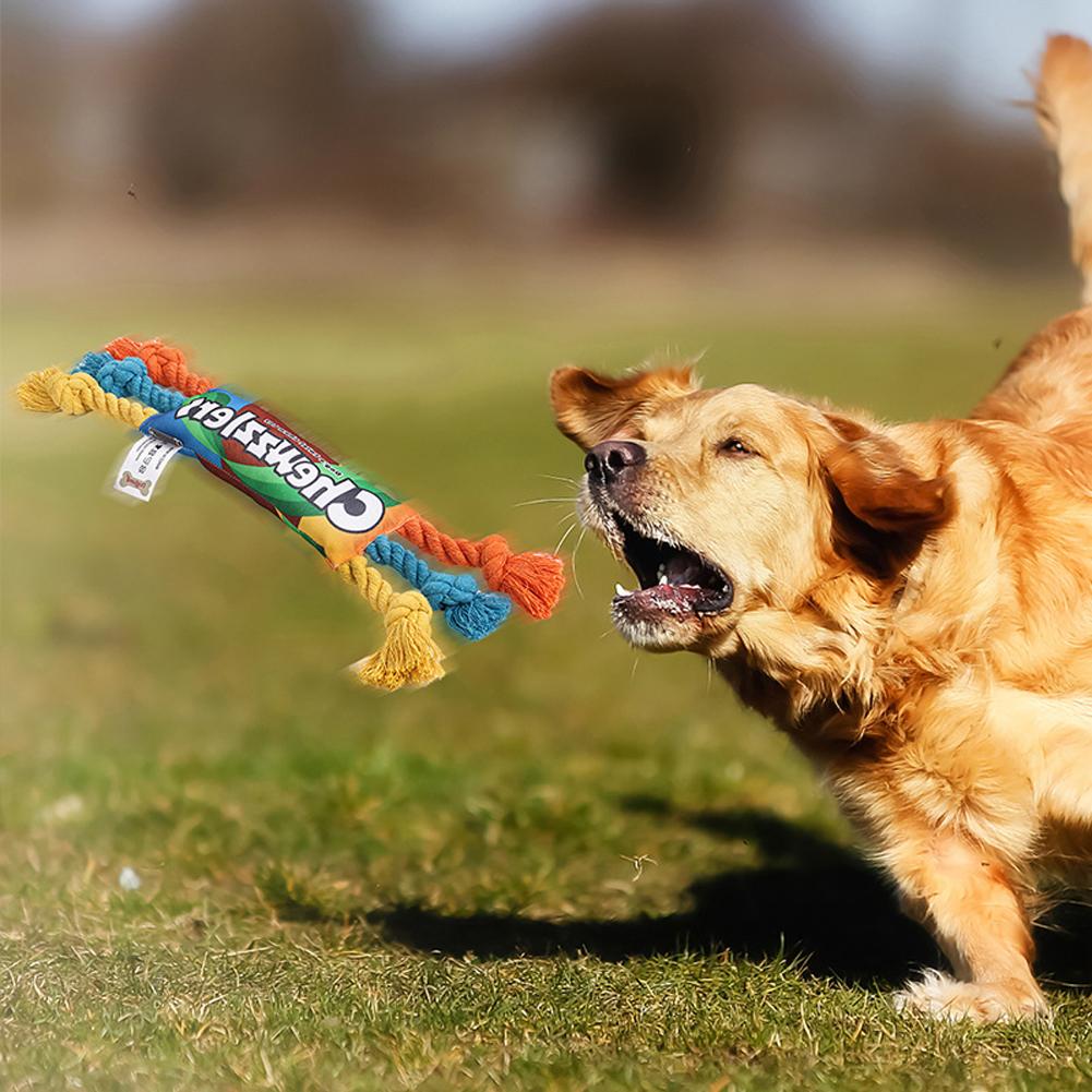 41cm Pet Dog Squeak Toy