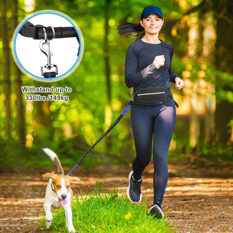 Hands Free Dog Leash with Waist Zipper Pocket Dual-Handle Reflective Bungee Suitable for Running Hiking Training Adjustable Waist Belt, Shock Absorbing for Small Medium and Large Dogs Pet Supplies