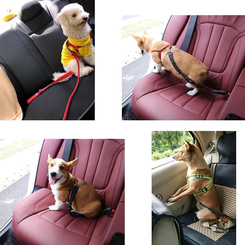 Dog Safety Belt for Car, Pack of Dog Safety Belts, Adjustable Elastic Shock Absorption with Reflective Strips, Suitable for All Dog Breeds and Car Types