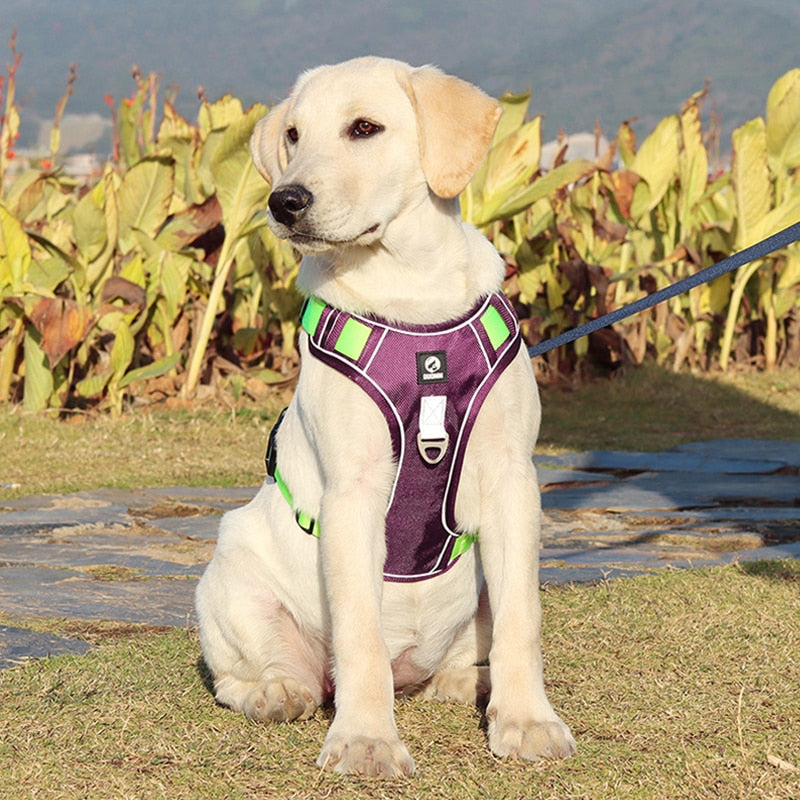 Adjustable Reflective Dog Harness Vest