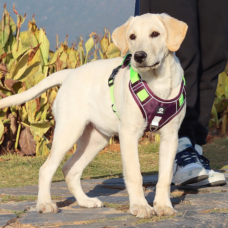 Adjustable Reflective Dog Harness Vest