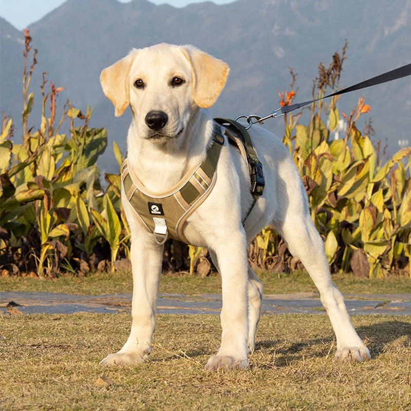 Adjustable Reflective Dog Harness Vest