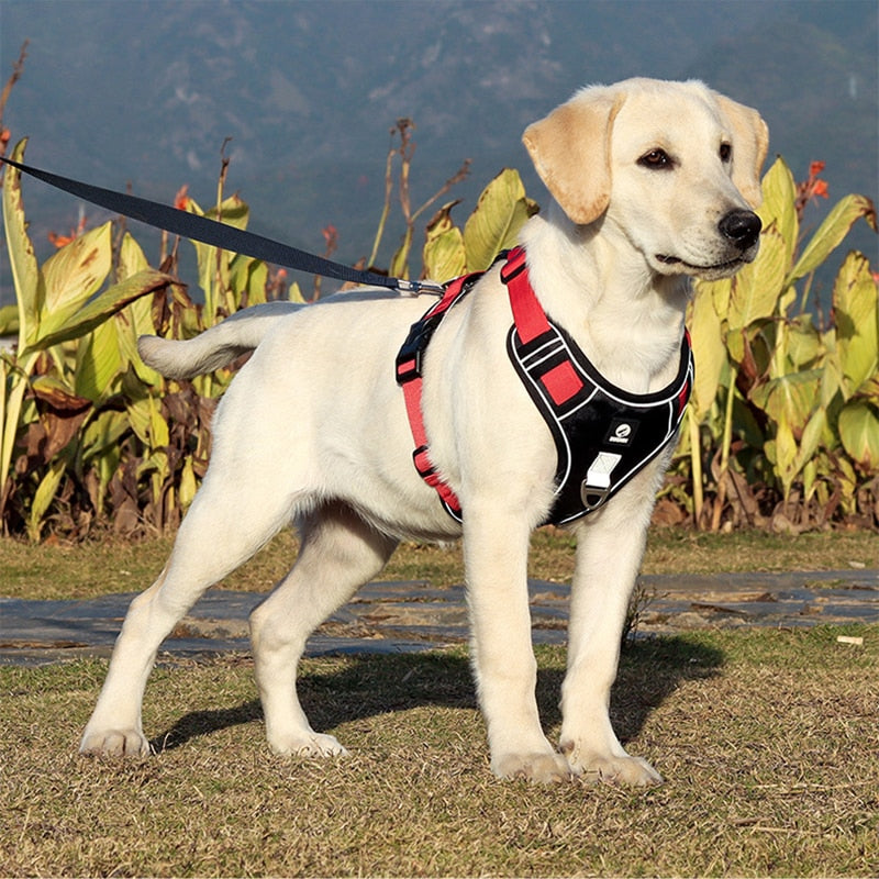 Adjustable Reflective Dog Harness Vest