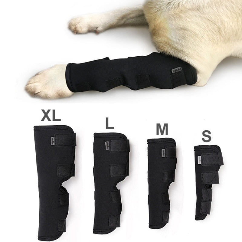 Pet Dog Knee Pads Dog Support Brace For Leg Injury