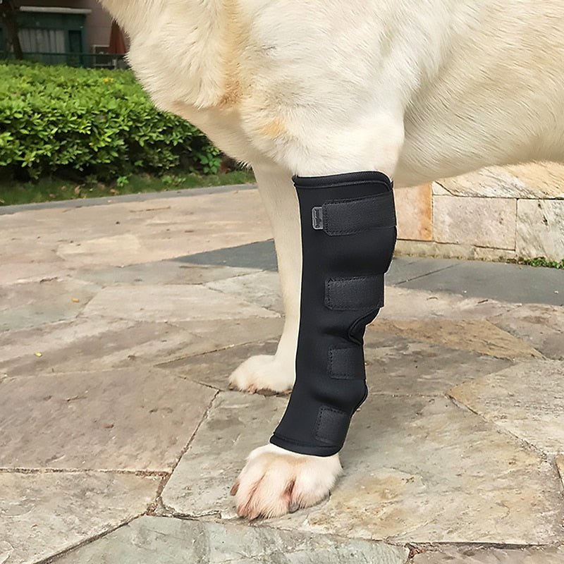 Pet Dog Knee Pads Dog Support Brace For Leg Injury