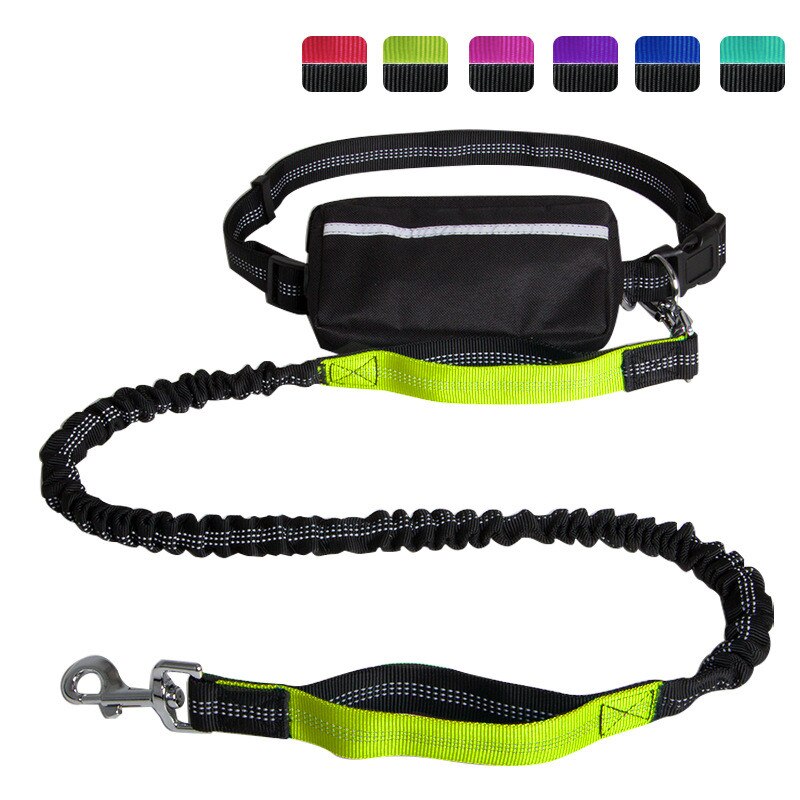 Hands Free Dog Leash with Waist Zipper Pocket Dual-Handle Reflective Bungee Suitable for Running Hiking Training Adjustable Waist Belt, Shock Absorbing for Small Medium and Large Dogs Pet Supplies